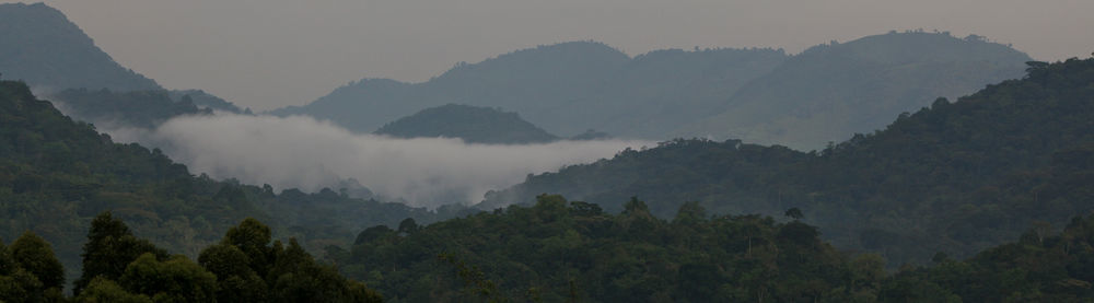 Silverback Lodge Buhoma Eksteriør bilde
